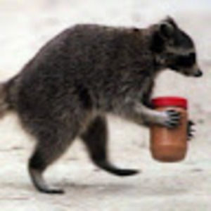 Meet your Posher, Erick